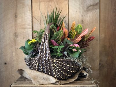 Baskets